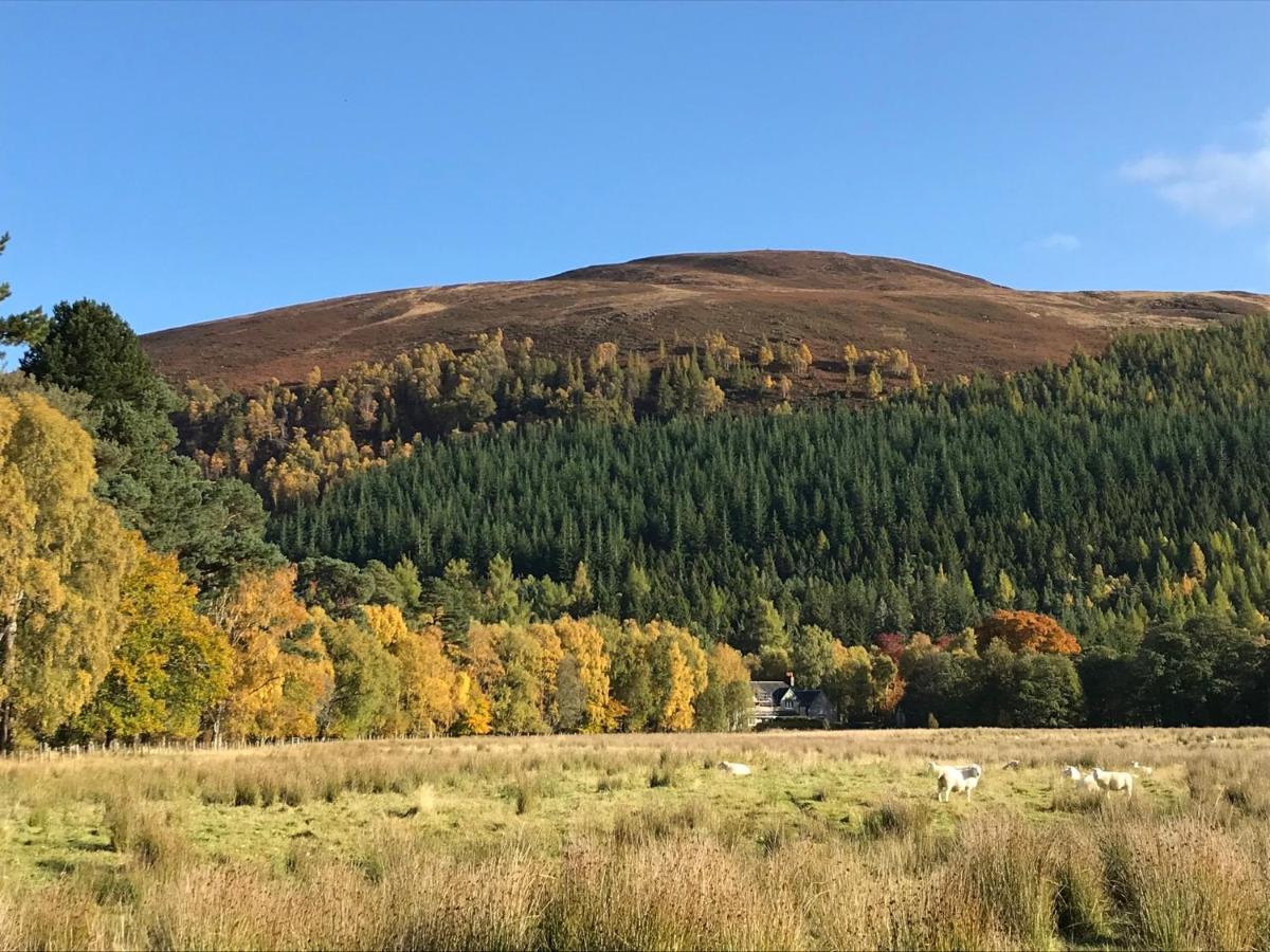 Rowan Cottage, Crannachcottages Гарв Екстериор снимка